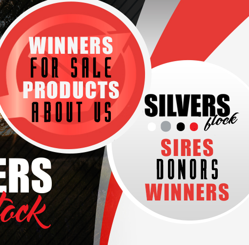 Silvers Livestock